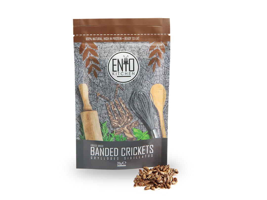 20g Edible Banded Crickets For Human Consumption